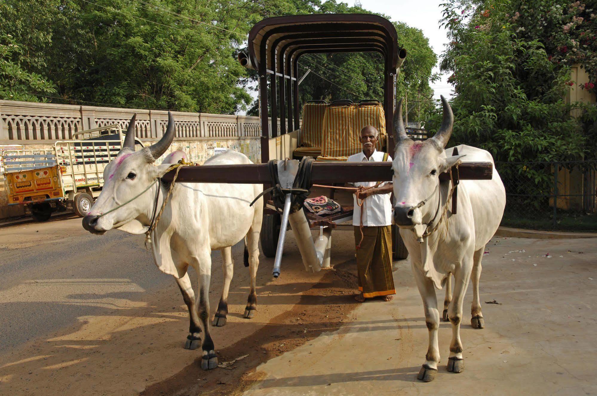 Visalam Chettinad Palace - A Cgh Earth Experience Kānādukāttān Eksteriør billede